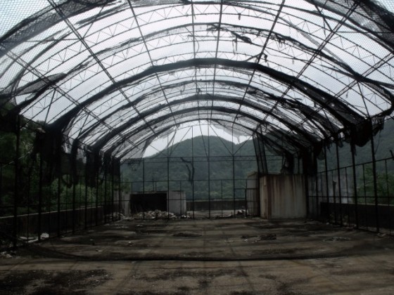 coreahospital-560x420