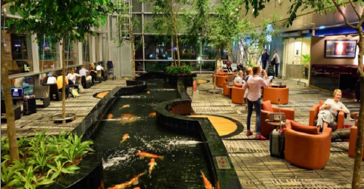 Changi-Sorbis-Shutterstock