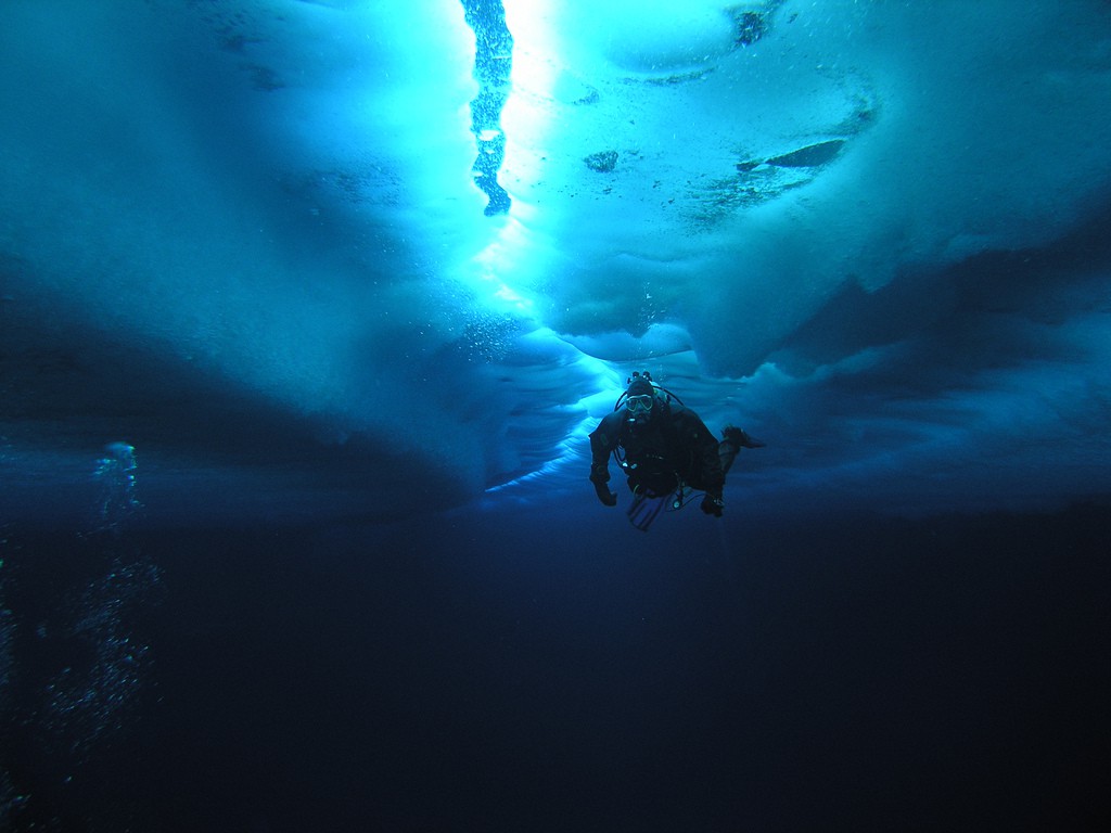 6293529529_7ba6bea5be_b