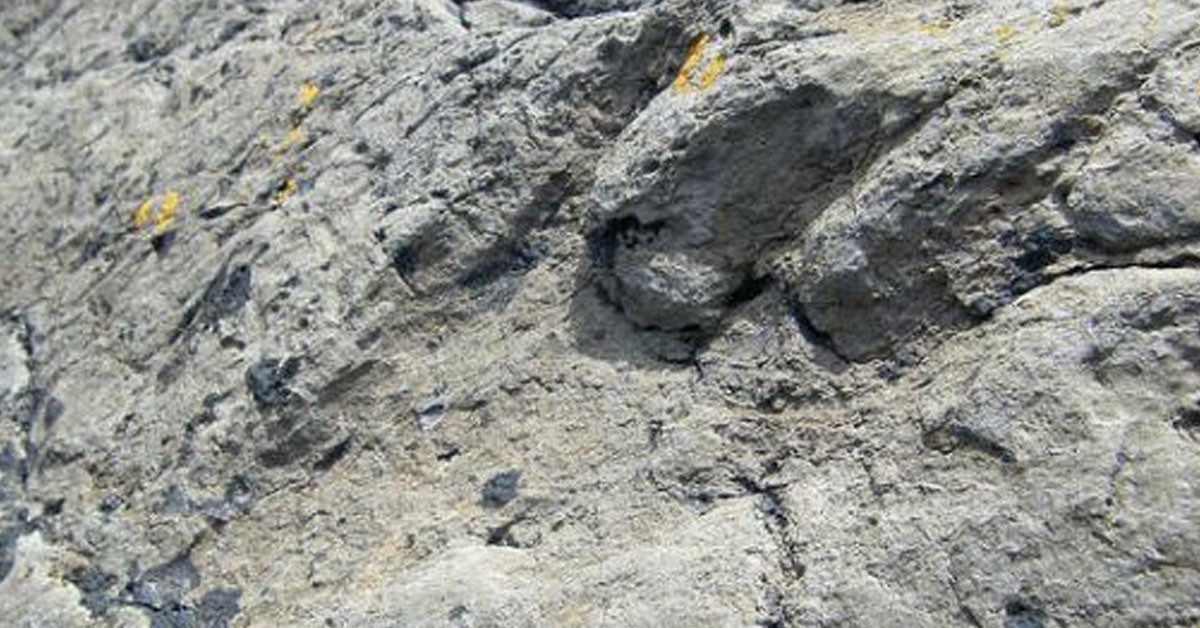 Costa-Jurásica-palaciodecutrecom