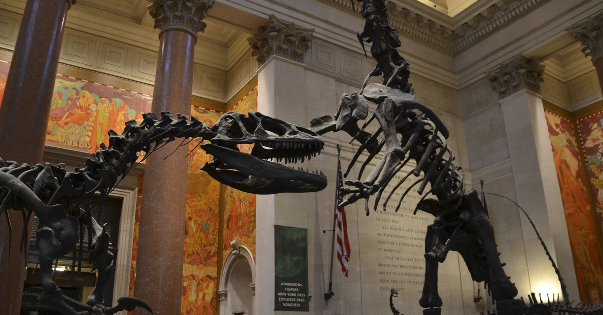 Museo-Nacional-de-Historia-Natural-Flickr