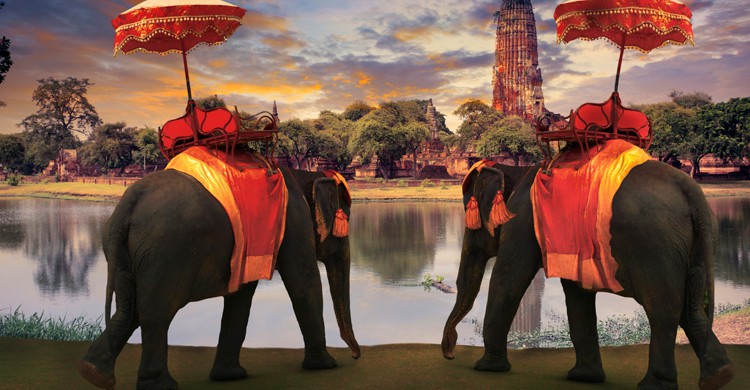 elefantes-en-ayuthaya