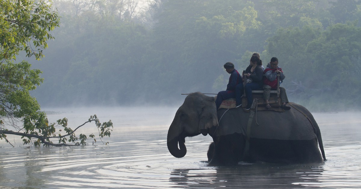 10 destinazioni dove ammirare gli elefanti