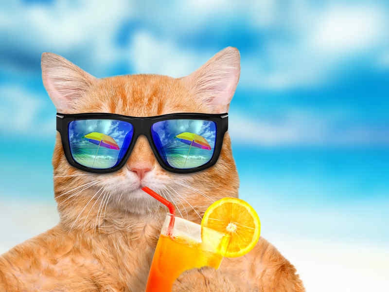 PREPARARE LA VALIGIA