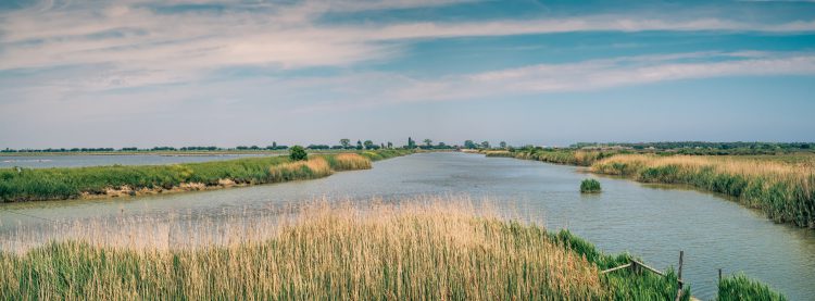 Parco delta Po