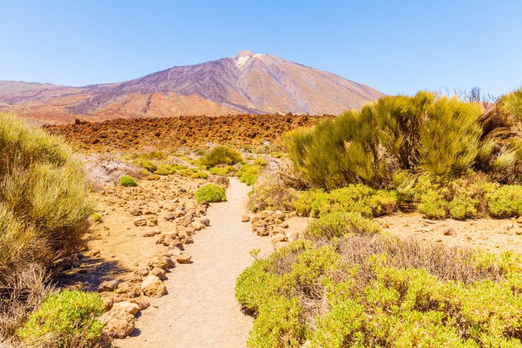 Teide Canarie