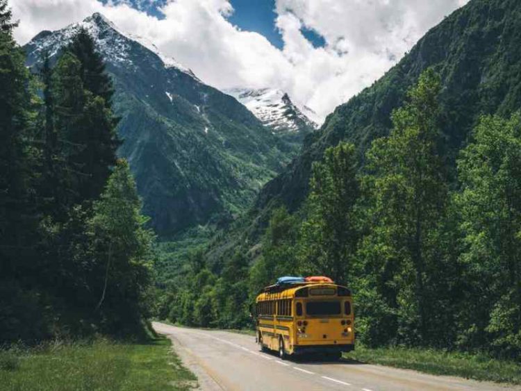 nomad bus