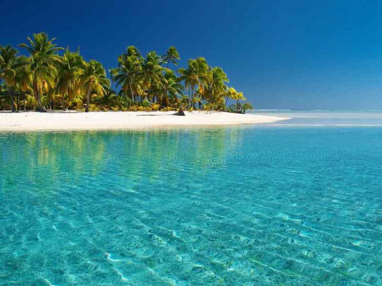 dimenticare l'inverno a boca chica