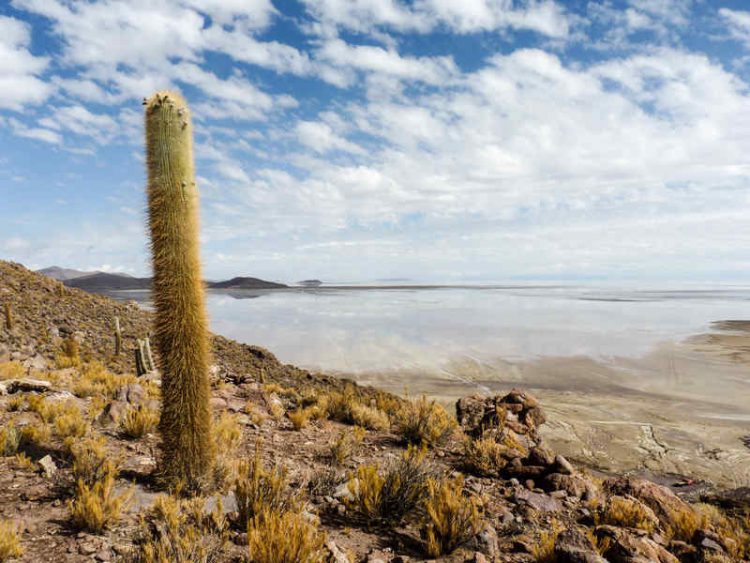 Salar de Uyuni