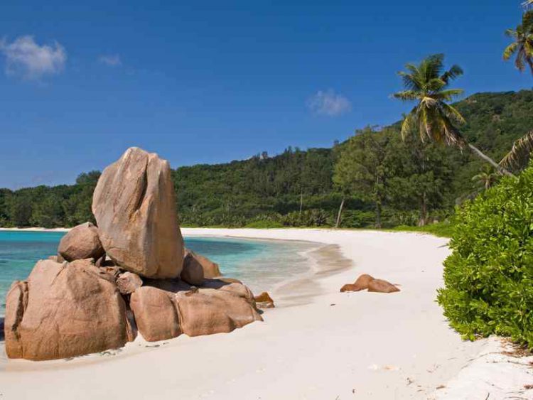 dimenticare l'inverno a digue