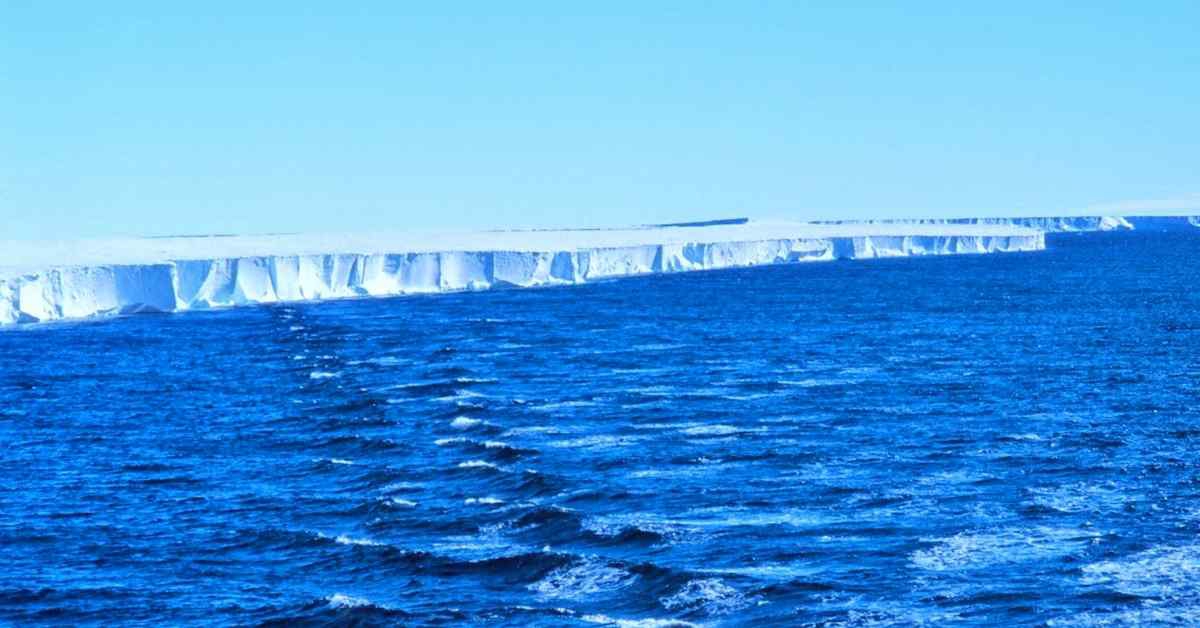 Oceano Antartico: parte la missione naturalistica di Greenpeace