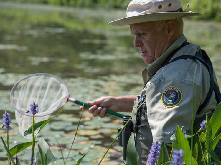 parco naturale di Cape Code