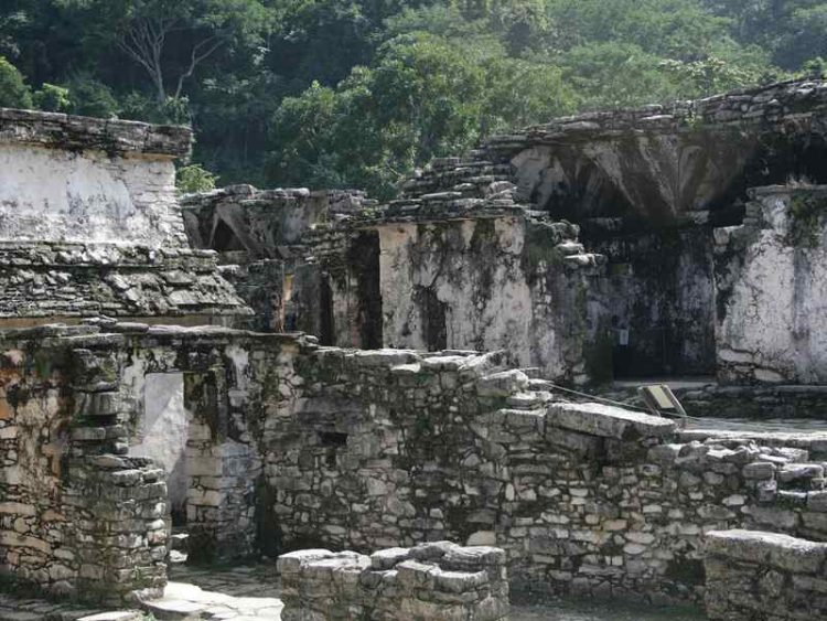 Le rovine Maya di Palenque: