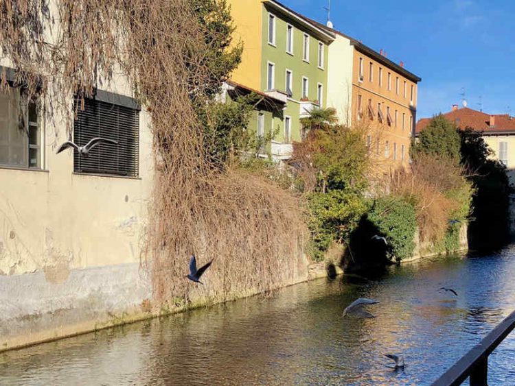 Esci dai soliti itinerari! 7 posti nascosti di Milano