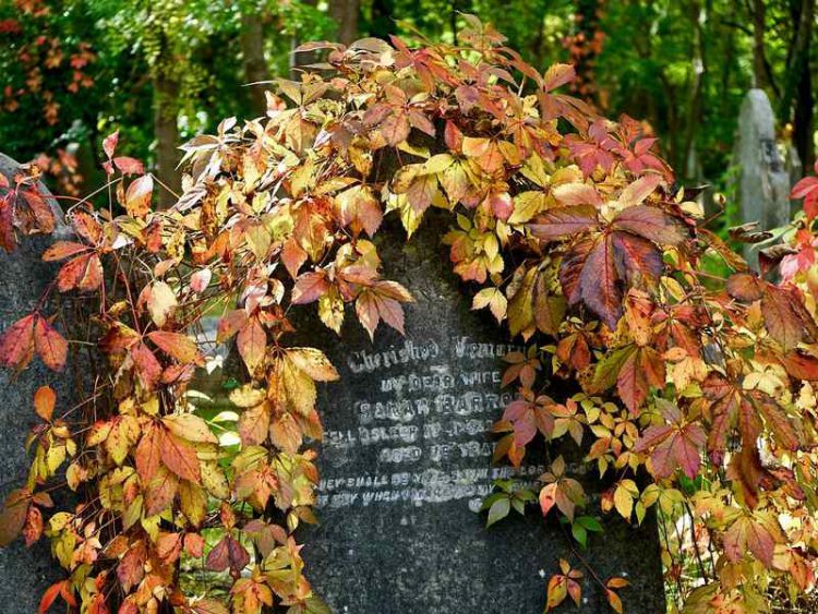 Londra: 10 luoghi nascosti e imperdibili