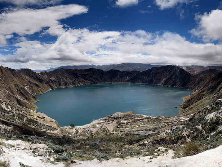  foresta Ecuador di Guayacan