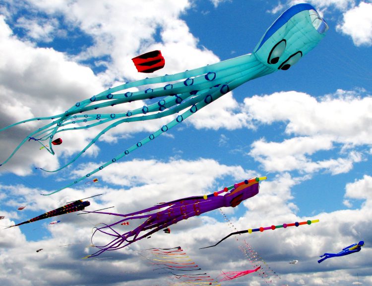 kites-779957_1920