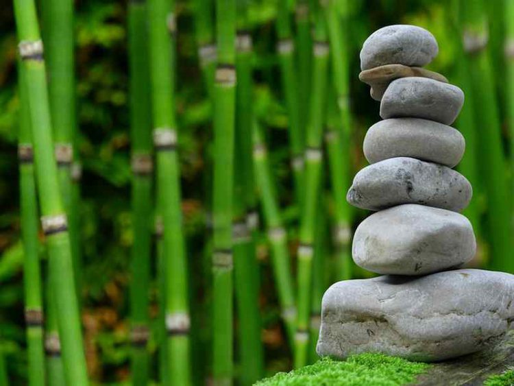 Sogni di dormire in un tempio Buddhista