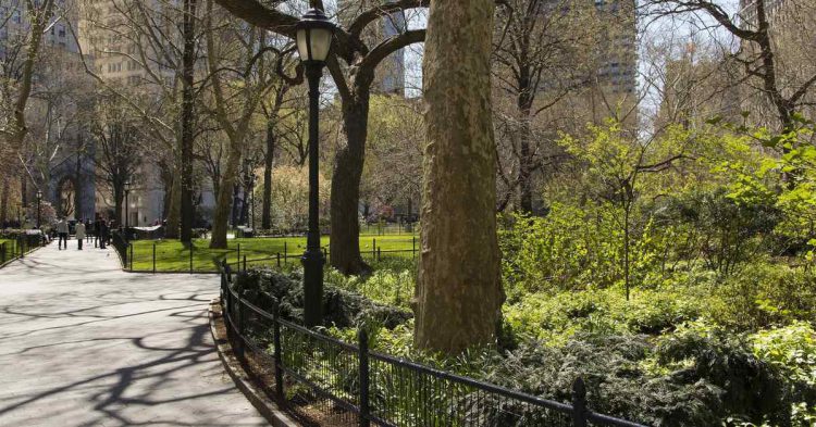 Sigue leyendo Metropoli e Meditazione: 5 luoghi perfetti a New York