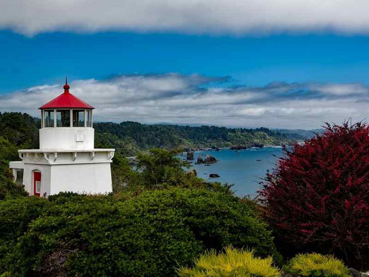 Trinidad e Tobago: le perle delle Antille