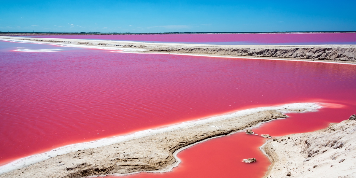 Las Coloradas, alla scoperta dei laghi con l’acqua rosa
