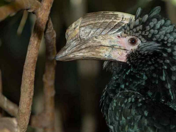 Etiopia, un viaggio nel tempo alla scoperta della valle dell'Omo