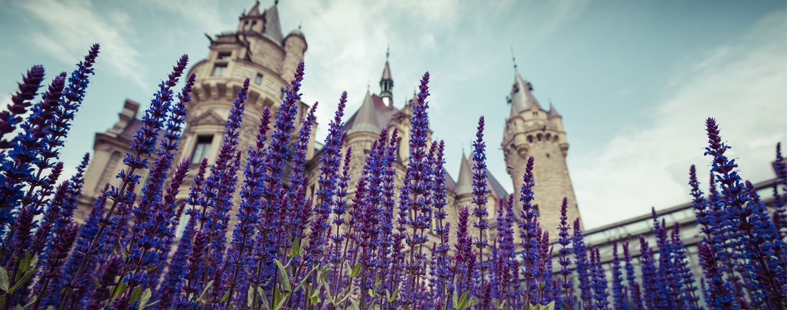 I castelli della Slesia, la terra dei 100 castelli, meno turistici