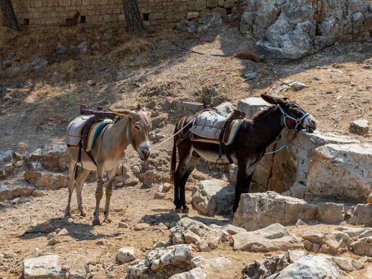 Il Cammino dei Briganti, il sentiero tra Abruzzo e Lazio