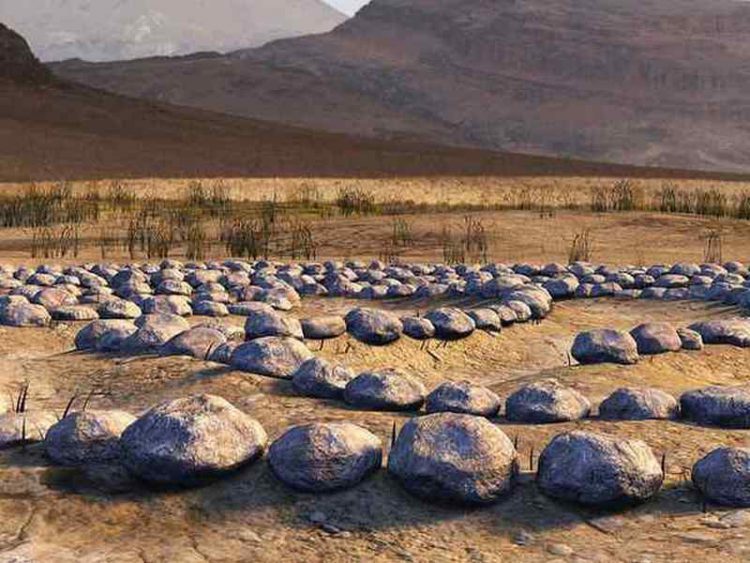 Tra Italia, Francia e Inghilterra, alla scoperta dei giardini labirinto più belli