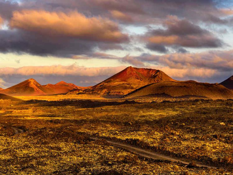 Yoga a Lanzarote: la felice storia di un ex-ingegnere