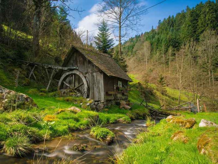 Scopri la Foresta Nera in Germania