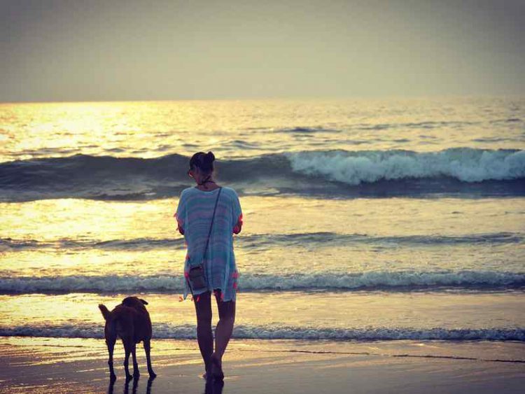 Sole, mare e spiagge. Goa, tutto ciò che devi sapere prima di partire.