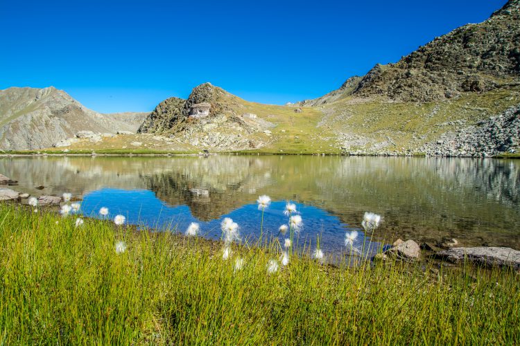 Strada della Lavanda