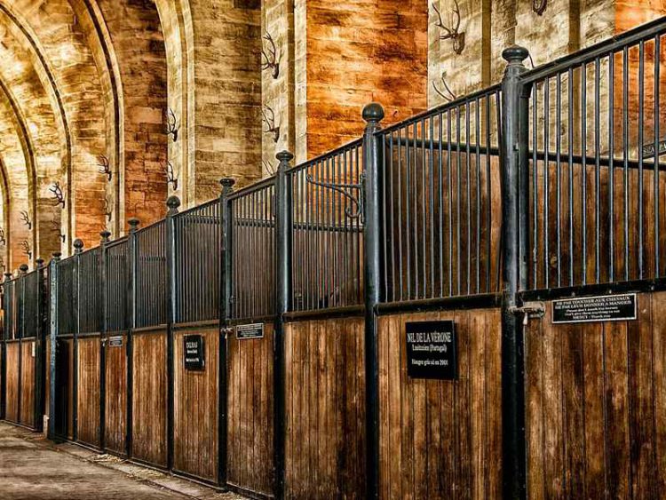 Castelli di Francia, ecco chi è più bello di Versailles