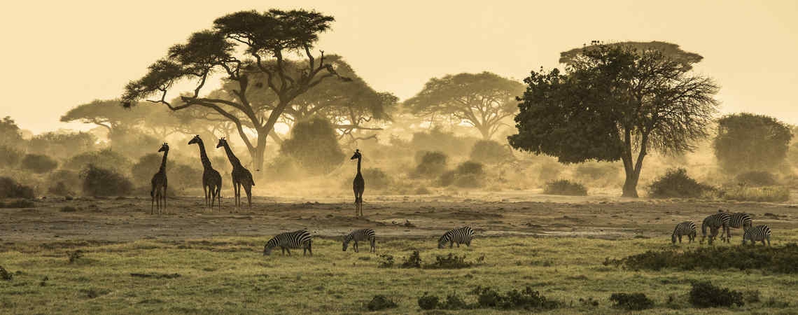 Shongolo Express: una safari in treno alla scoperta dell'Africa