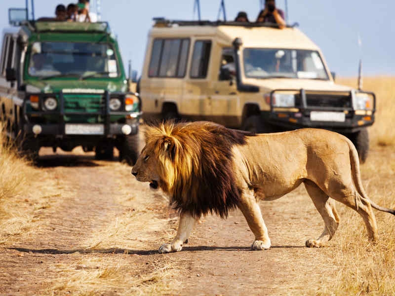 Shongolo Express: una safari in treno alla scoperta dell'Africa