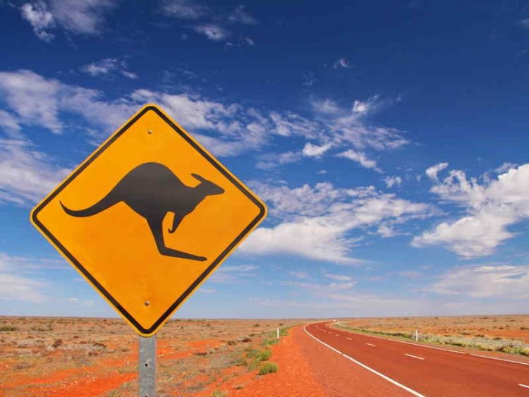 Van life, una vita in continuo movimento