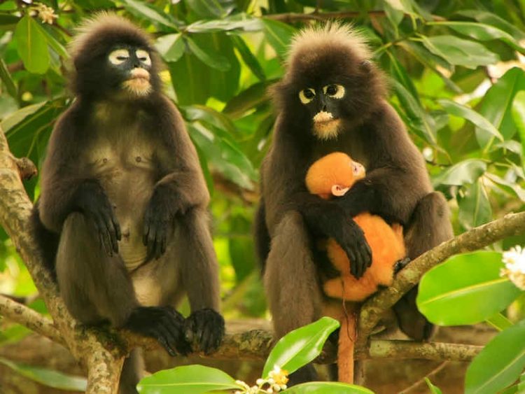 Thailandia, 8 luoghi da favola