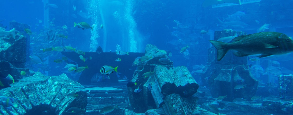 Sigue leyendo Antiche città sottomarine, alla scoperta delle meraviglie sommerse