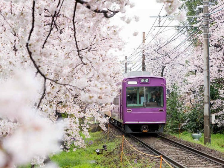Viaggi da fare? Queste mete non possono mancare