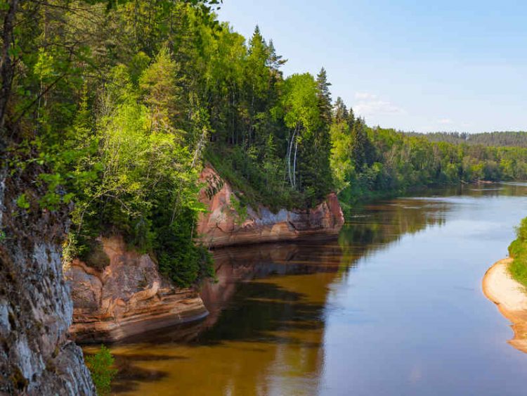 Appassionati di Canoa? 