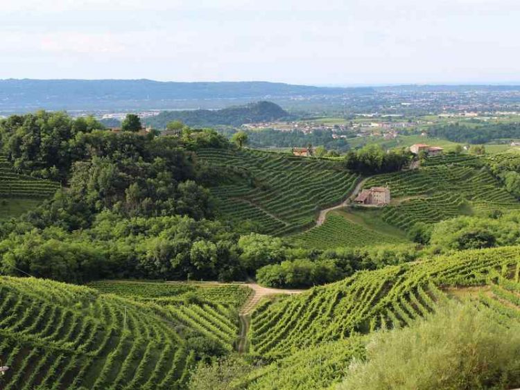 Colline del Prosecco, alla scoperta delle bellezze di questi luoghi