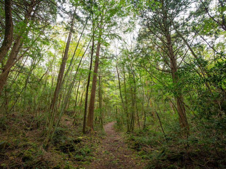 I 10 luoghi più letali del pianeta, terrificanti da visitare