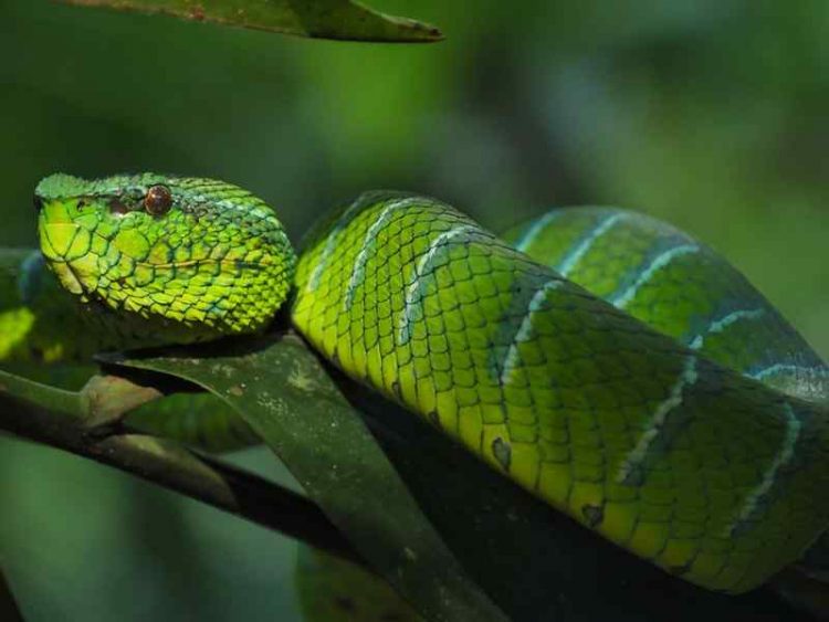 I 10 luoghi più letali del pianeta, terrificanti da visitare
