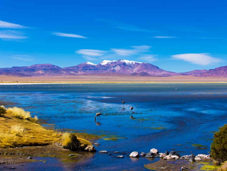 Deserto di Atacama, 10 meraviglie che ti faranno venire voglia di partire