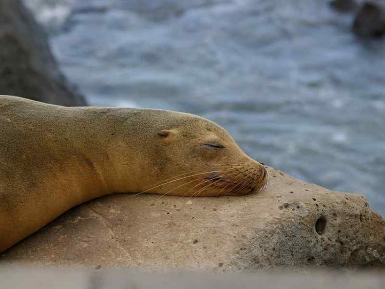 Itinerari in barca, conoscere i paesaggi da un'altra prospettiva