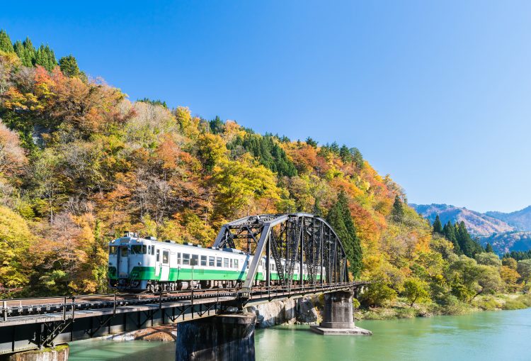 Sigue leyendo Prenota ora il treno del foliage in partenza dal 14 ottobre